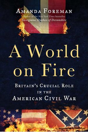 A World on Fire: Britain's Crucial Role in the American Civil War cover