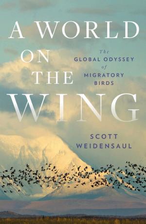 A World on the Wing: The Global Odyssey of Migratory Birds cover