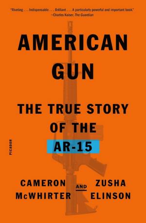 American Gun: The True Story of the AR-15 cover