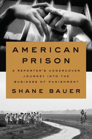 American Prison: A Reporter's Undercover Journey into the Business of Punishment cover