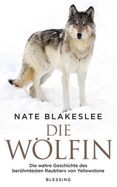 Die Wölfin cover