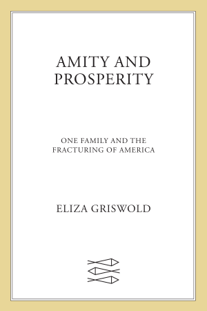 Amity and Prosperity: One Family and the Fracturing of America cover