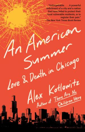 An American Summer: Love and Death in Chicago cover