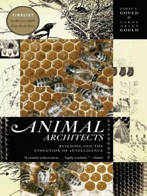 Architects: Building and the Evolution of Intelligence cover