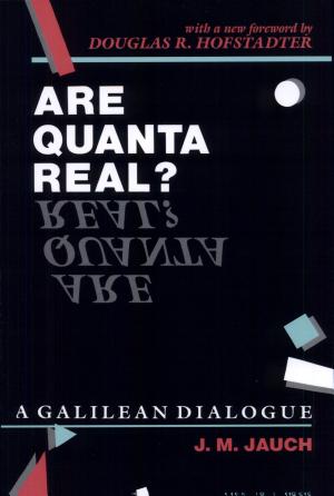 Are Quanta Real?: A Galilean Dialogue cover