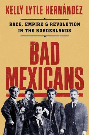 Bad Mexicans: Race, Empire & Revolution in the Borderlands cover