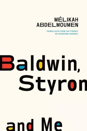 Baldwin, Styron, and Me cover