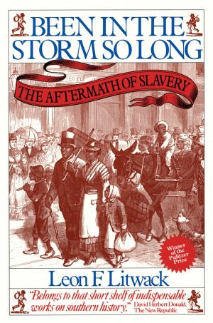 Been in the Storm So Long: The Aftermath of Slavery cover
