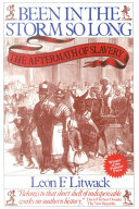 Been in the Storm So Long: The Aftermath of Slavery cover