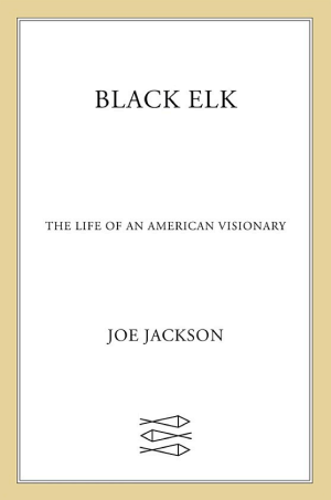Black Elk: The Life of an American Visionary cover