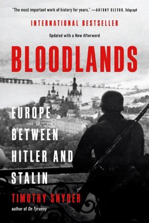 Bloodlands: Europe Between Hitler and Stalin cover