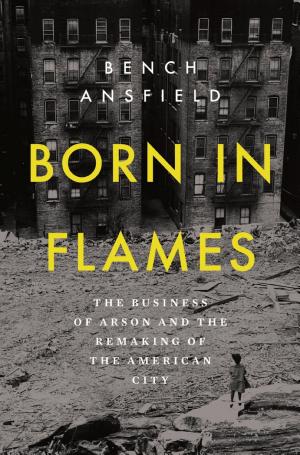 Born in Flames: The Business of Arson and the Remaking of the American City cover