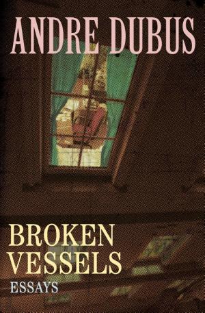 Broken Vessels cover