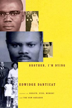Brother, I'm Dying cover