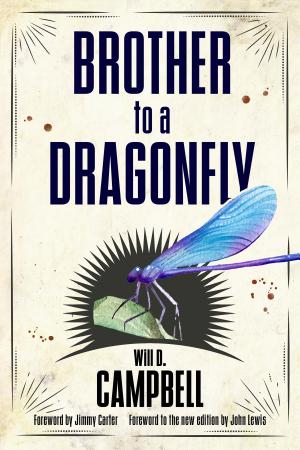 Brother to a Dragonfly cover