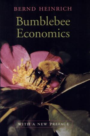 Bumblebee Economics cover