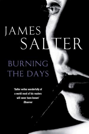Burning the Days: Recollection cover