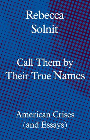 Call Them by Their True Names: American Crises (and Essays) cover