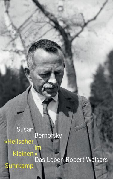 Hellseher im Kleinen cover