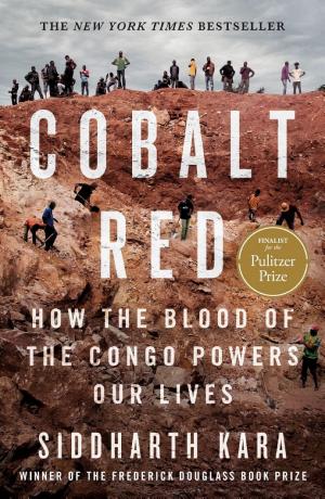 Cobalt Red: How the blood of the Congo powers our lives cover