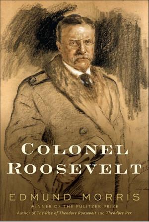 Colonel Roosevelt cover