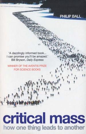Critical Mass: How One Thing Leads to Another cover