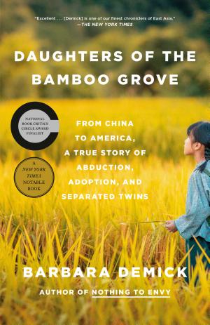 Daughters of the Bamboo Grove: From China to America, a True Story of Abduction, Adoption, and Separated Twins cover