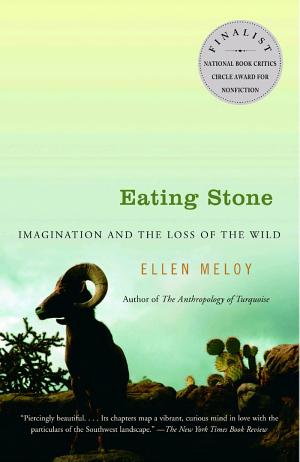 Eating Stone: Imagination and the Loss of the Wild cover