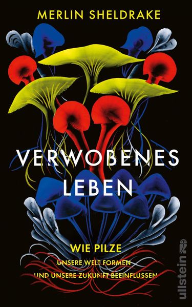 Verwobenes Leben cover