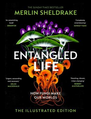Entangled Life cover