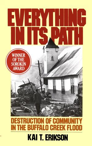 Everything in Its Path: Destruction of Community in the Buffalo Creek Flood cover