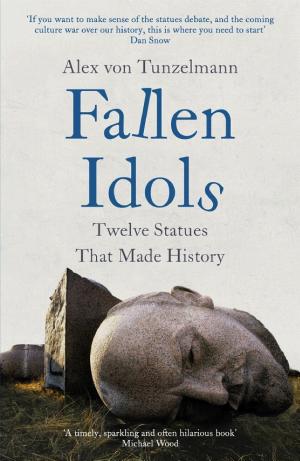 Fallen Idols: Twelve Statues That Made History cover