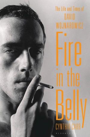 Fire in the Belly: The Life and Times of David Wojnarowicz cover