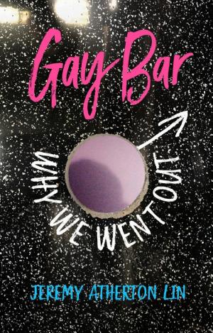Gay Bar: Why We Went Out cover