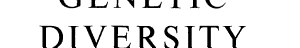 Genetic Diversity and Human Equality cover
