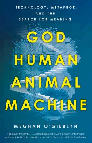 God, Human, Animal, Machine: Technology, Metaphor, and the Search for Meaning cover