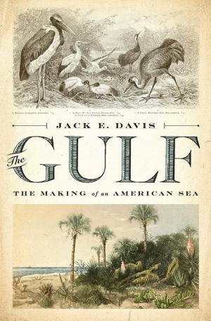 Gulf: The Making of An American Sea cover
