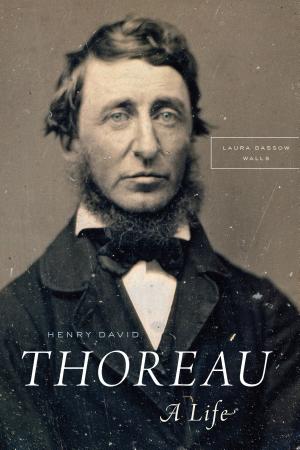 Henry David Thoreau: A Life cover