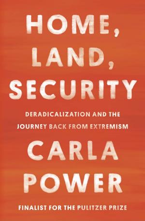 Home, Land, Security: Deradicalization and the Journey Back from Extremism cover