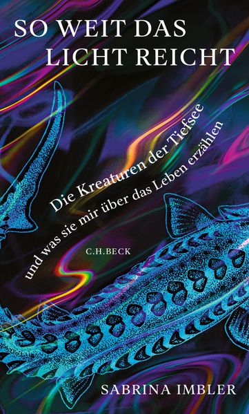 So weit das Licht reicht cover