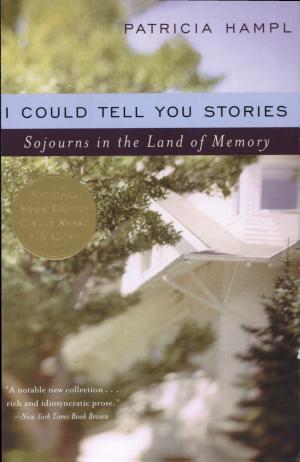 I Could Tell You Stories: Sojourns in the Land of Memory cover