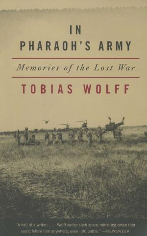 In Pharaoh's Army: Memories of the Lost War cover
