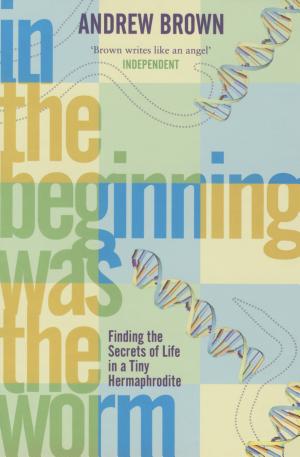 In The Beginning Was the Worm cover