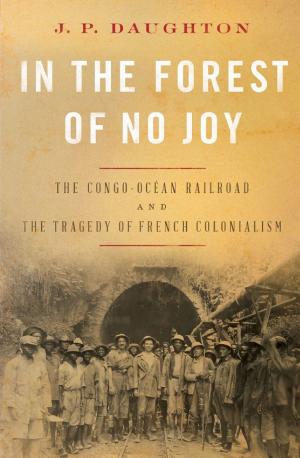 In the Forest of No Joy: The Congo–Océan Railroad and the Tragedy of French Colonialism cover