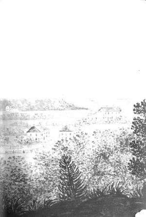 John Adams cover