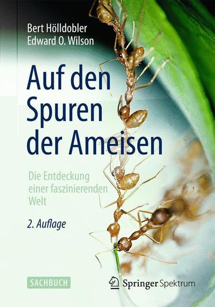 Auf den Spuren der Ameisen cover