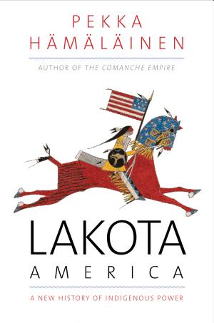 Lakota America cover