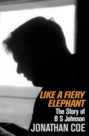 Like a Fiery Elephant: The Story of B. S. Johnson (about B. S. Johnson) cover