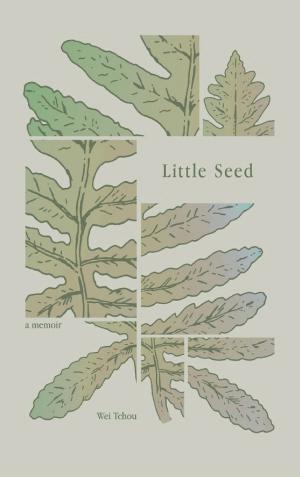 Little Seed cover