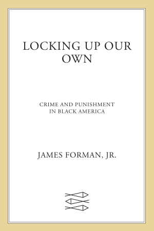 Locking Up Our Own: Crime and Punishment in Black America cover